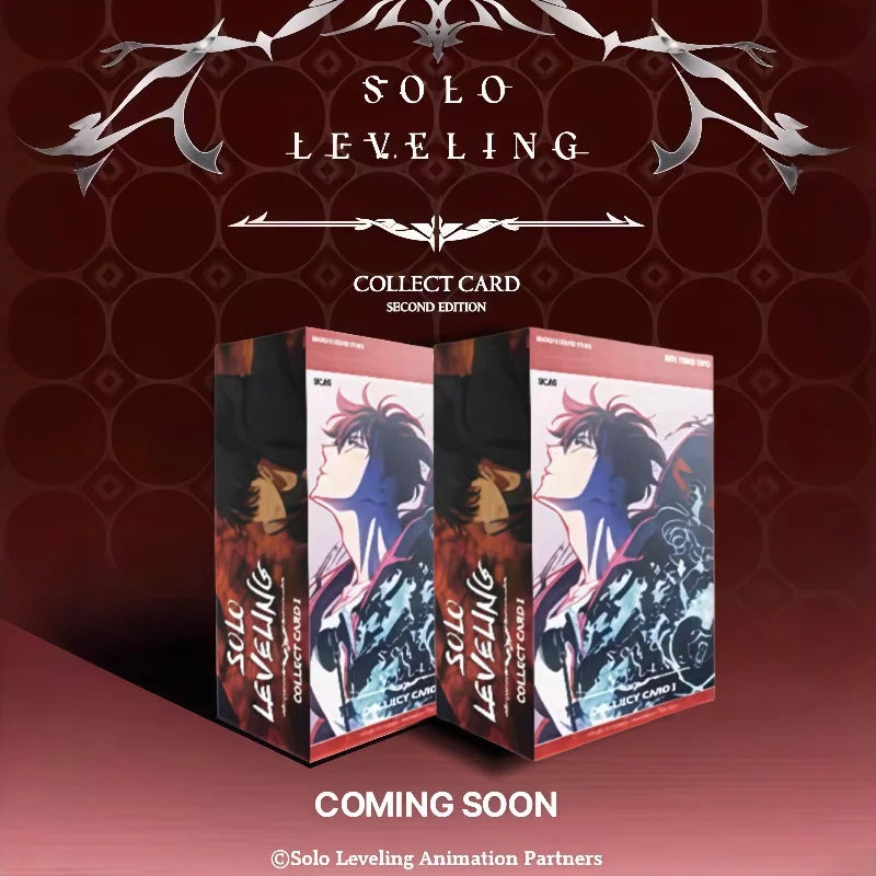 SOLO LEVELING Sung Jin-Woo Collectible Card – Genuine Korean - Display Box | Kamigami – Solo Leveling Collectibles